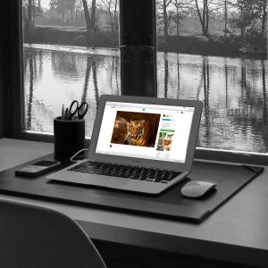 Best Laptop & Smartphone Combo Deals in 2025